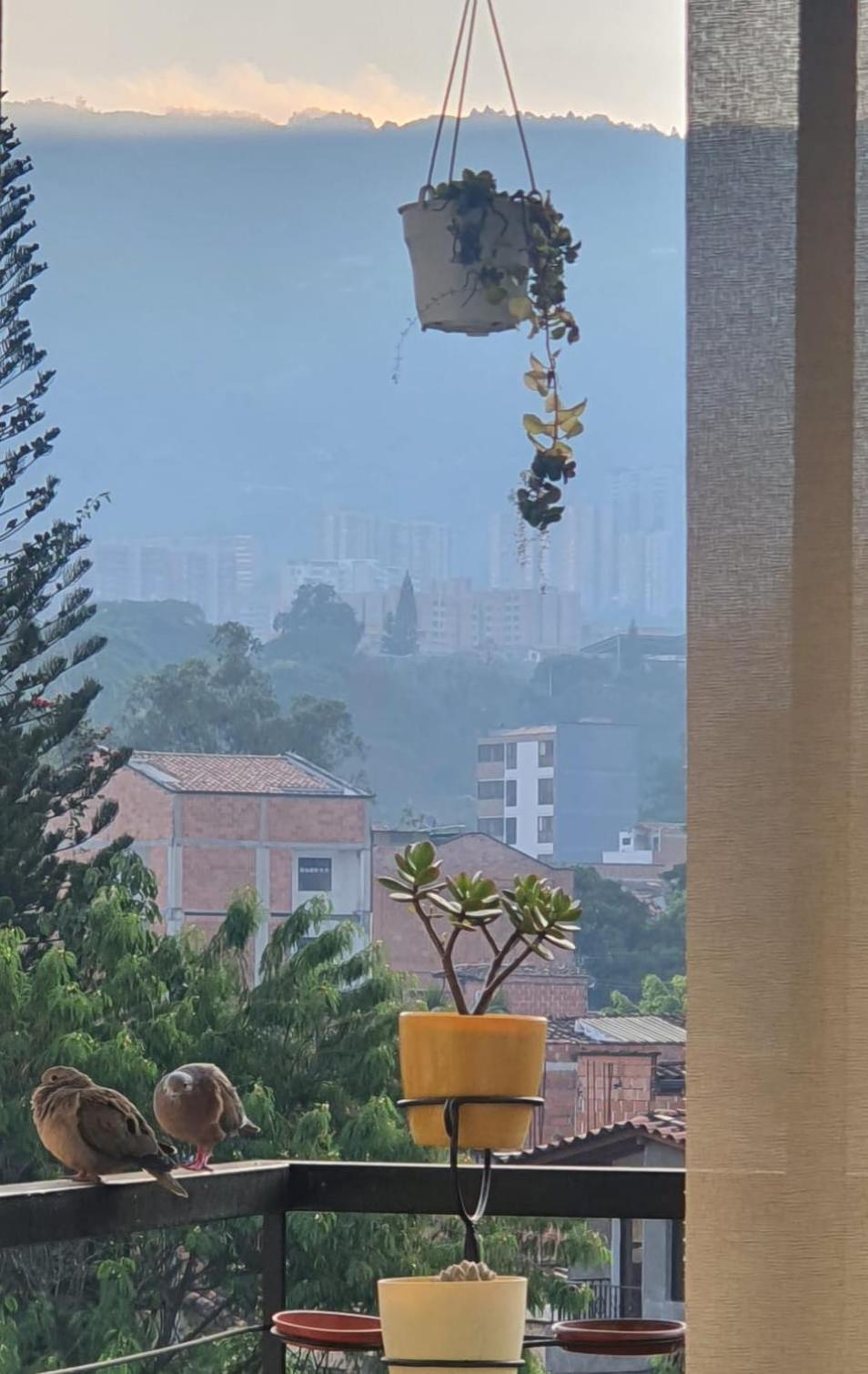 En Compartido En Envigado